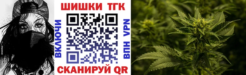Шишки марихуана Amnesia  где купить   Соль-Илецк 